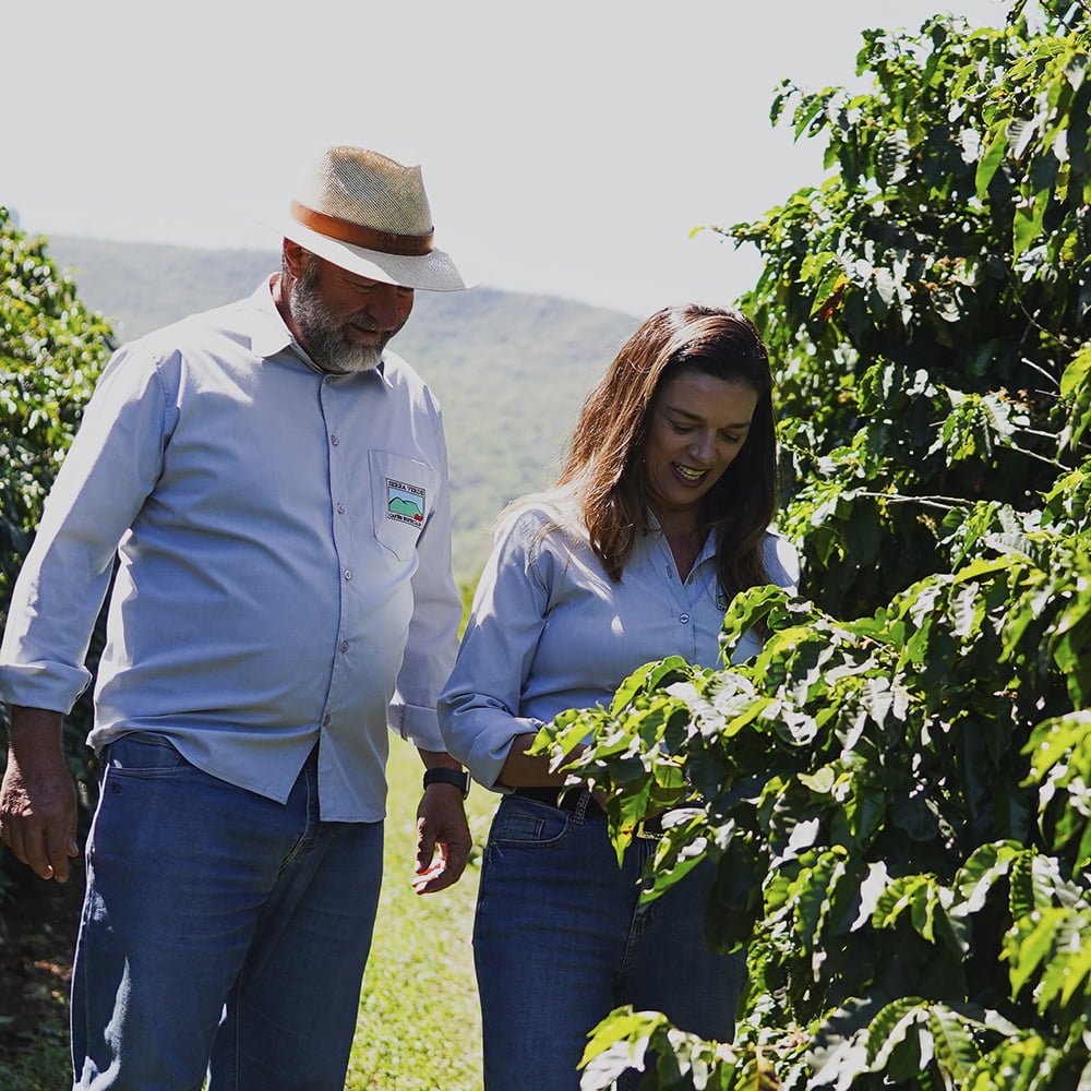 Café Especial Verde - Microlote Moka - 88 pontos - Manual Natural - Arara 1kg
