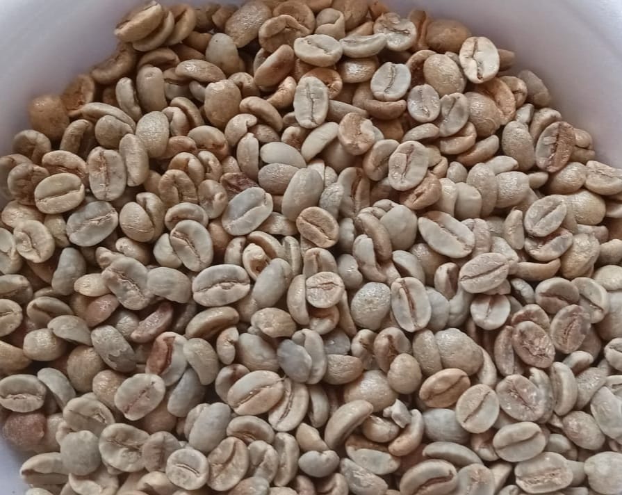 Café Especial Verde - Microlote Frutado - 88 pontos - Fermentado - Topázio 1kg