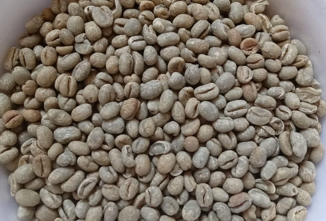 Café Especial Verde - Microlote Moka - 88 pontos - Manual Natural - Arara 1kg