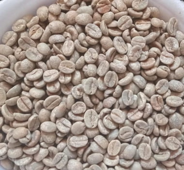 Café Especial Verde - Microlote Chocolatudo - 88 pontos - Manual Natural - Arara 1kg Café Especial Verde - Microlote Chocolatudo - 88 pontos - Manual Natural - Arara 1kg