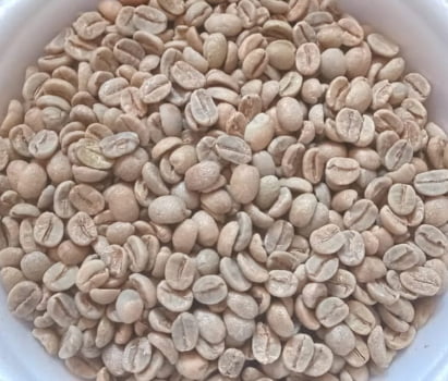 Café Especial Verde - Microlote Frutado - 88 pontos - Fermentado - Catuaí vermelho 1kg Café Especial Verde - Microlote Frutado - 88 pontos - Fermentado - Catuaí vermelho 1kg