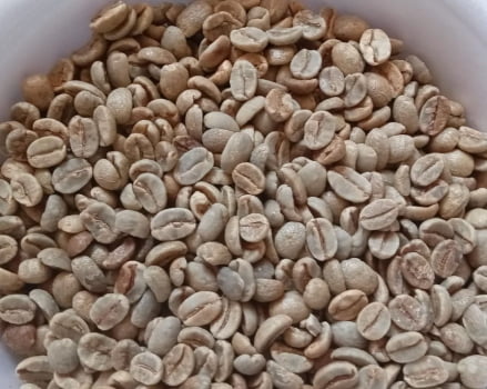 Café Especial Verde - Microlote Frutado - 88 pontos - Fermentado - Topázio 1kg Café Especial Verde - Microlote Frutado - 88 pontos - Fermentado - Topázio 1kg