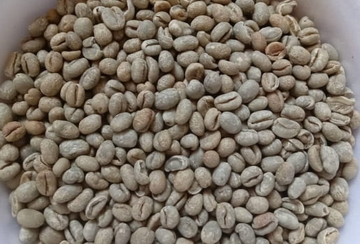 Café Especial Verde- Microlote Moka - 88 pontos - Manual Natural - Arara 1kg Café Especial Verde- Microlote Moka - 88 pontos - Manual Natural - Arara 1kg